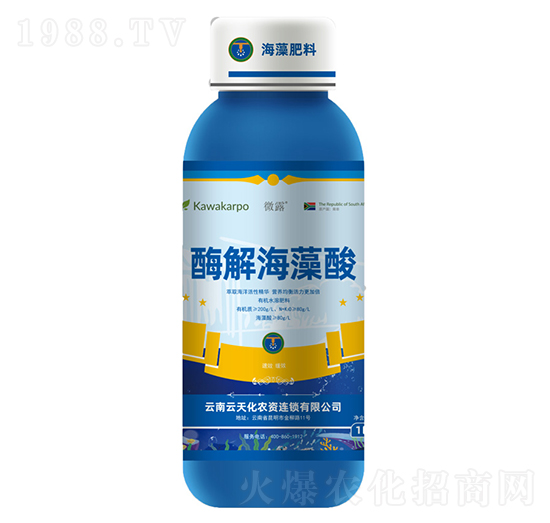 ø�⺣����-΢¶-���컯