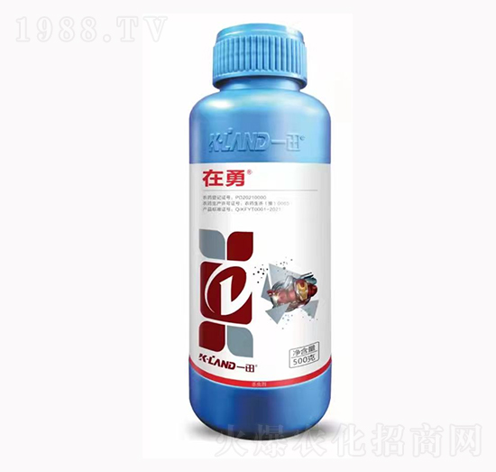 10%(li��n)�������x(ch��ng)��-����-һ������