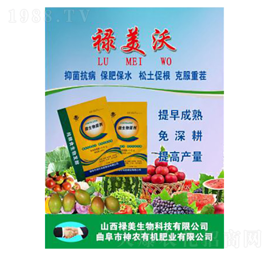 ΢�������-������-��������