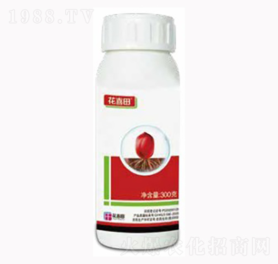 ��ϲ��N����-������