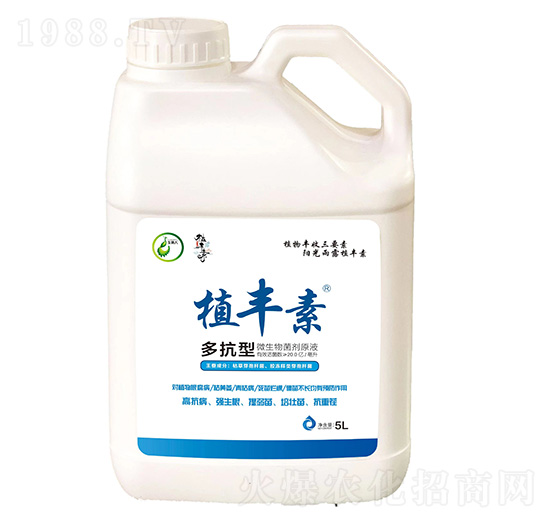 �࿹��-ֲ�S��-����������