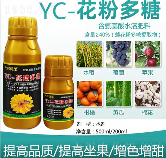 YC-���۶���-���r��(y��u)��-���r����