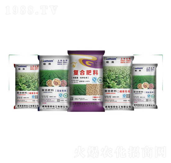 ��(zhu��n)�Ï�(f��)�Ϸ���-����