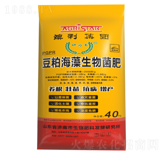 ���ɺ����������-����