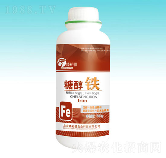 �Ǵ��F-��ԣ��