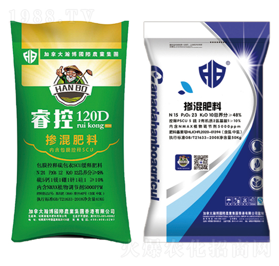 ���ؓ������-¡������