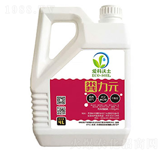 �S��Ԫ-��(��i)������