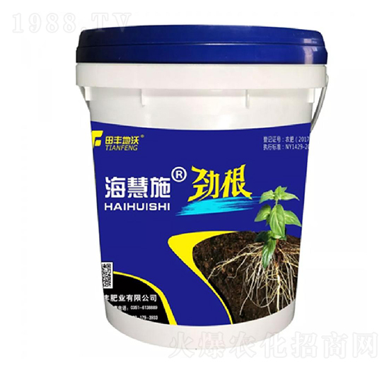 �Ÿ�-����ʩ-���S����