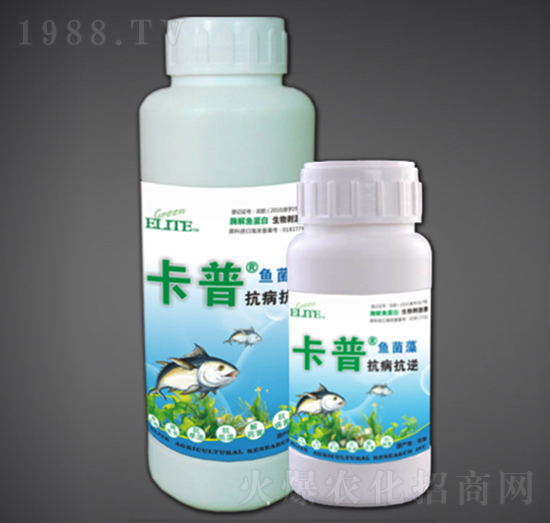 ����������ø���~����-�G�����