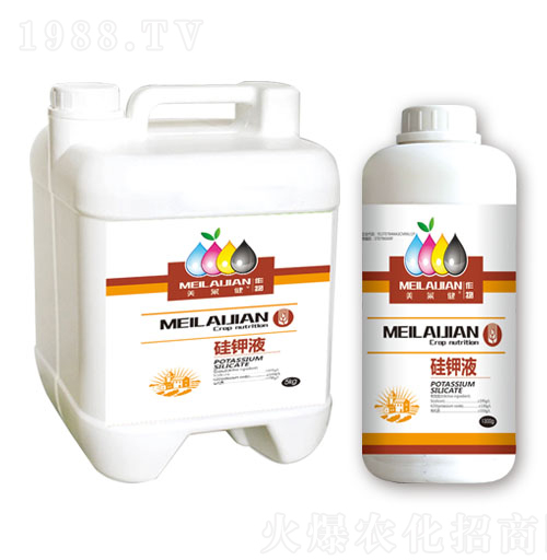 ���Һ-��������