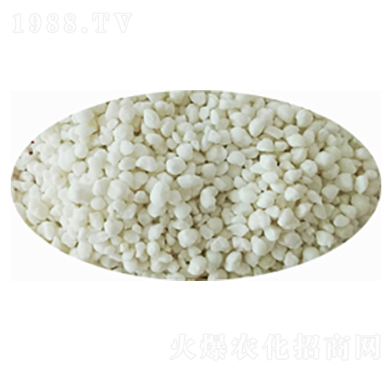 �w�����ʘ�Ʒ-���l(xi��ng)�r(n��ng)�I(y��)