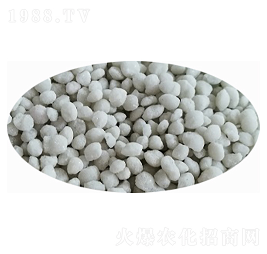 ���@����ɫ���{(l��n)ɫ��-���S�Ƽ�