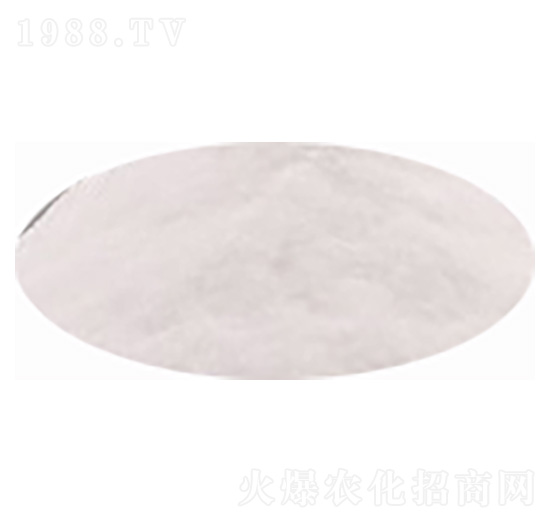 ����⛷�-�۸�˼�_