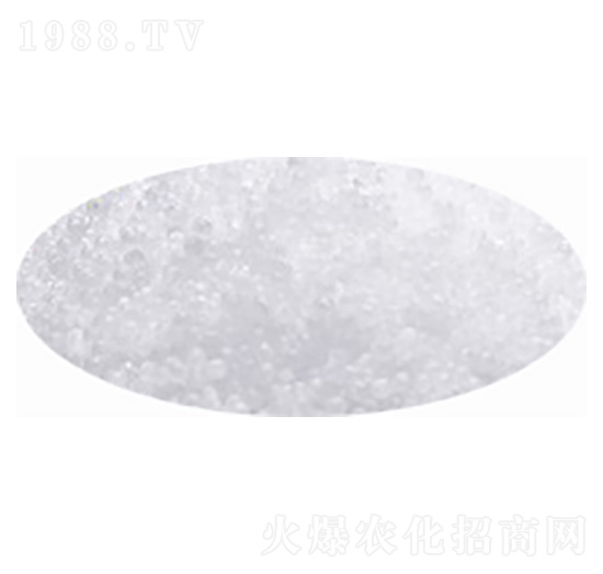 ���أ��w�����w����-�۸�˼�_(d��)