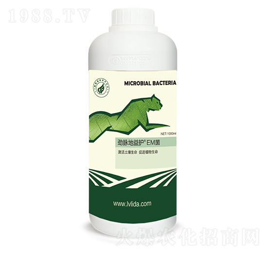 �����o��EM��-���}