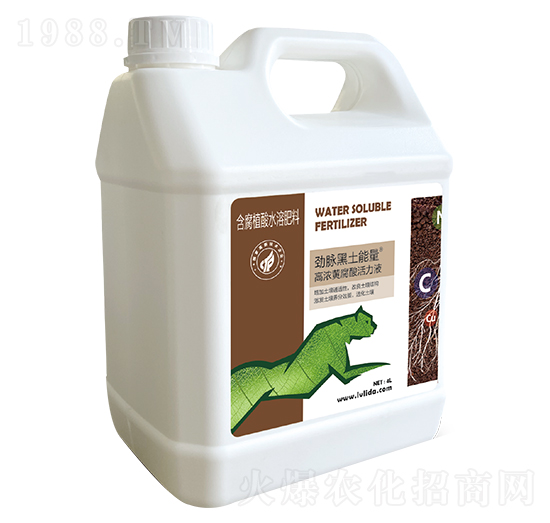 �ߝ��S�������Һ-��������-���}