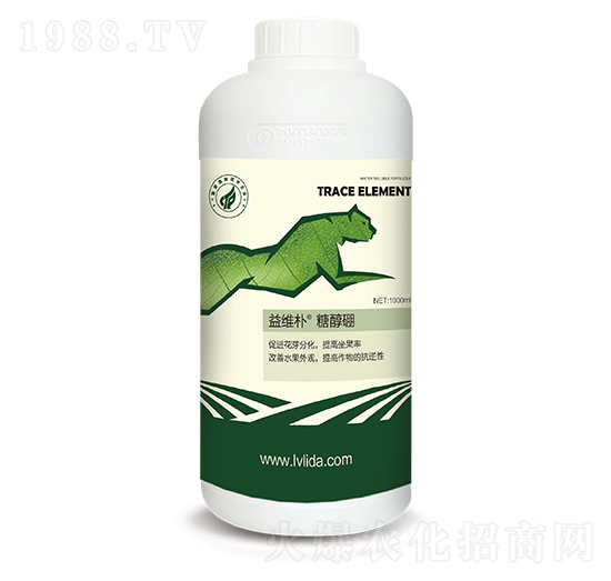 ��S���Ǵ���-���}