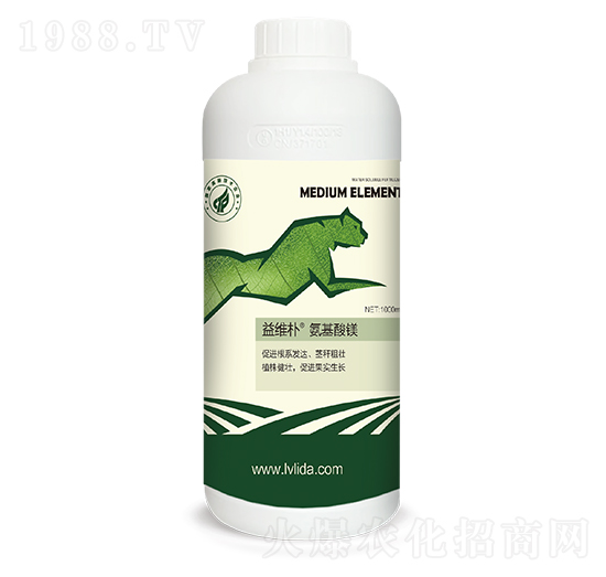 ��S�㰱�����V-���}