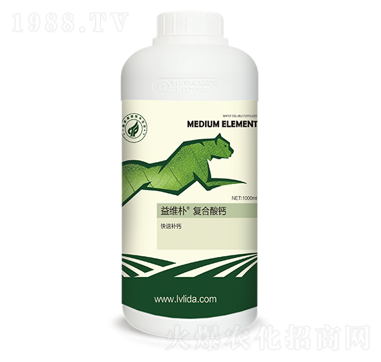 ��S��ͺ����}-���}