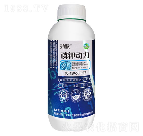 ��⛄���00-450-500+TE-���}