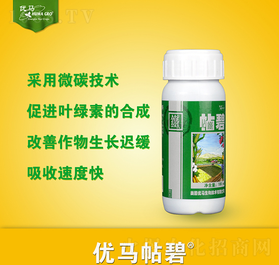 ����-��(y��u)�R����