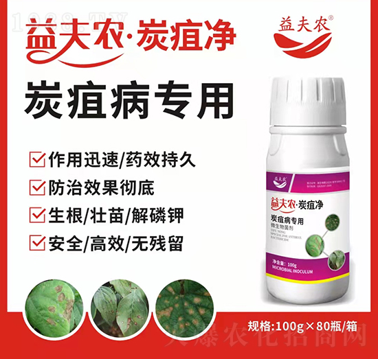 ̿�Ҳ���(zhu��n)��-����r(n��ng)��̿�҃�-����r(n��ng)