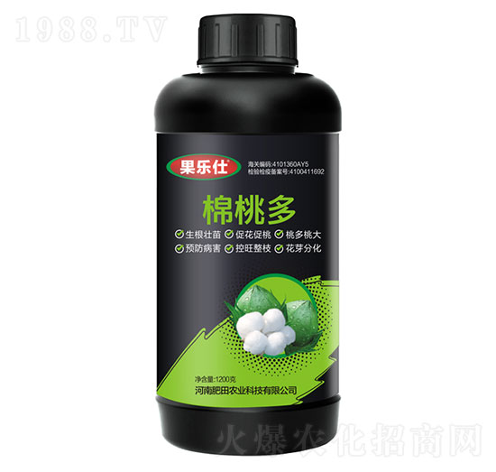 ���Ҷ�-������-�����r(n��ng)�I(y��)