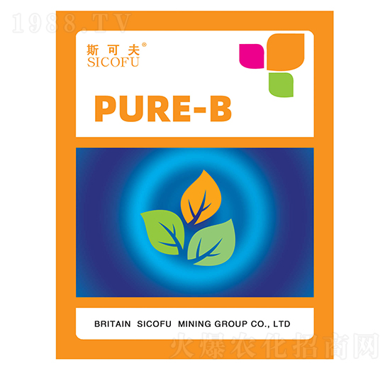 ���ϼ���-�������