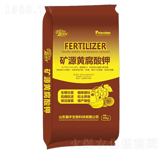 �VԴ�S�����-�������