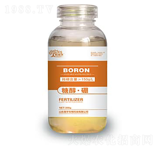 �Ǵ�����-�������