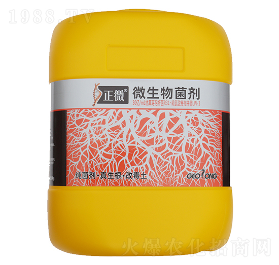 ��΢��΢���������-ֲ����