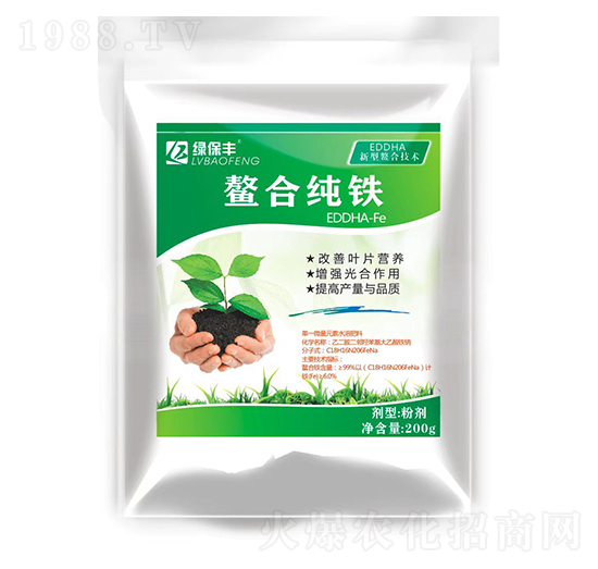 ���ϼ��F-�G���S-���z��