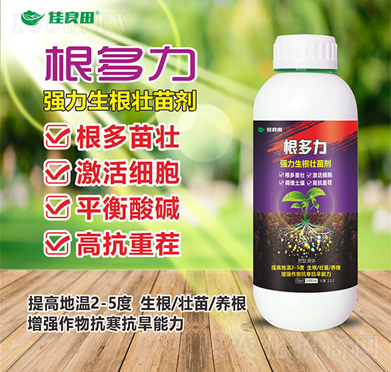 �����������������焩-���z��