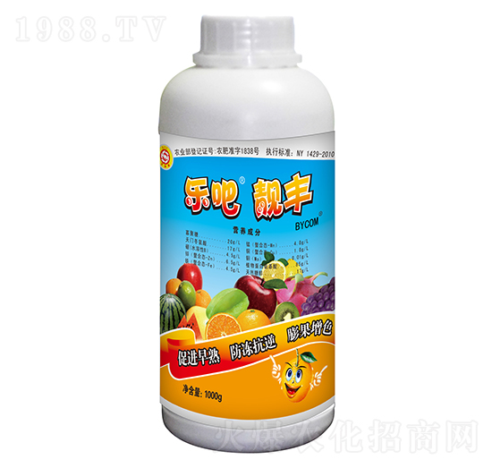 1000g�����n�S-��ꖉ�