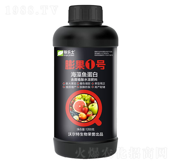 �����~����-�����̖(h��o)-�֠���