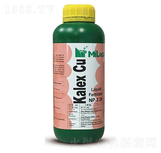 ������(zh��n)��-���h