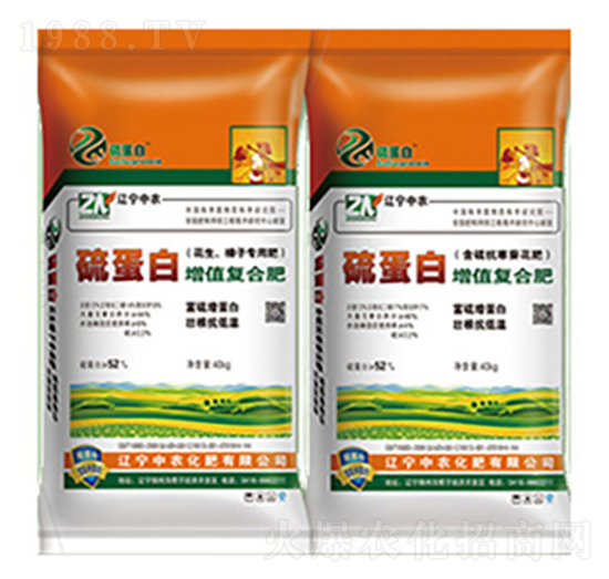 �򵰰����|�ͺϷ�-���r(n��ng)����