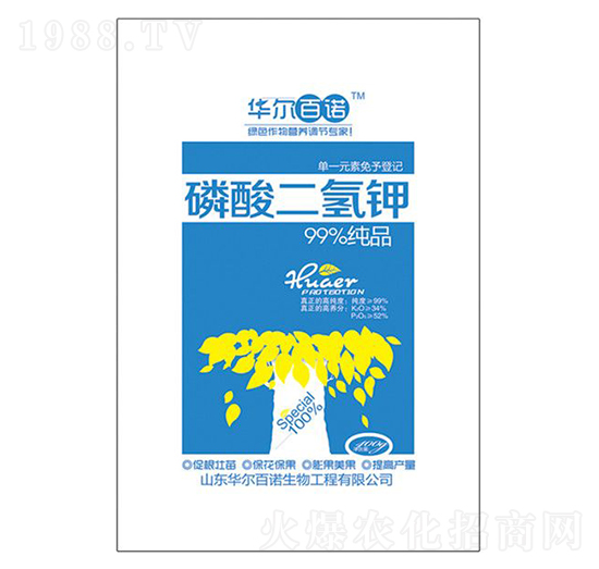 ��������-�A�����Z