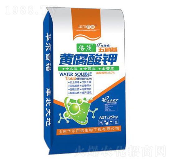 �������S�����-�A�����Z