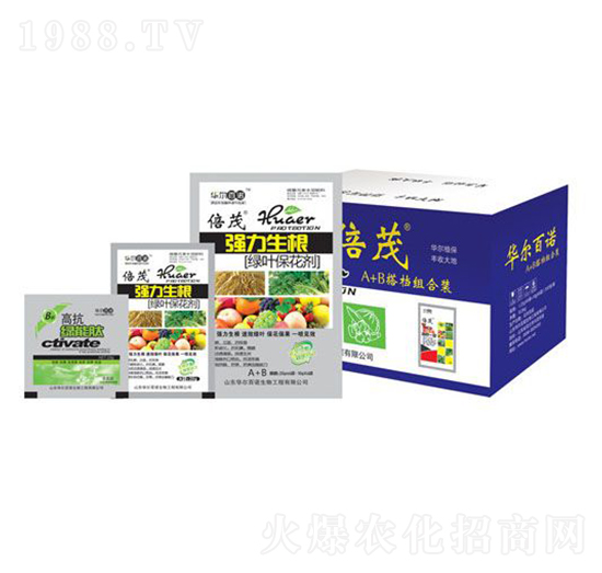 ���������G�~������-�A�����Z