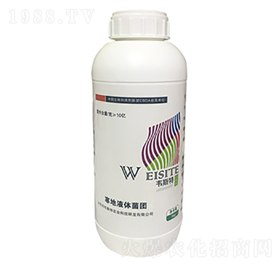 ����Һ�w���F-�f˹��-���r(n��ng)�I(y��)