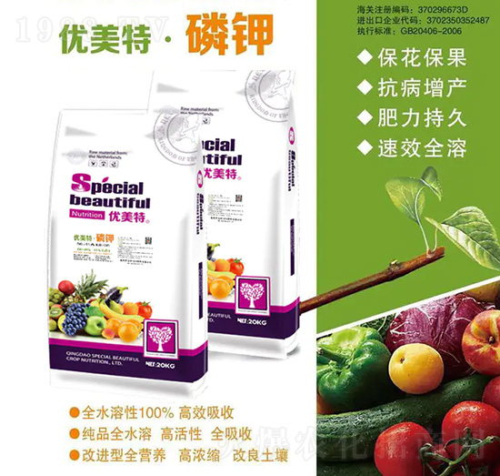 ��(y��u)���ء����-��(y��u)����