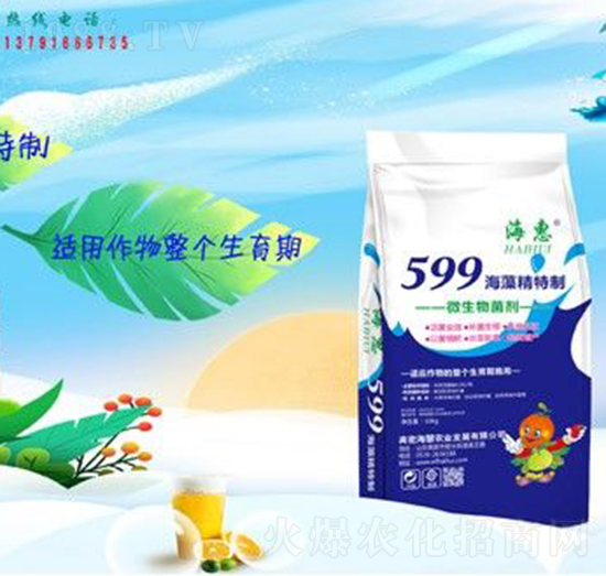 599���徫����-����