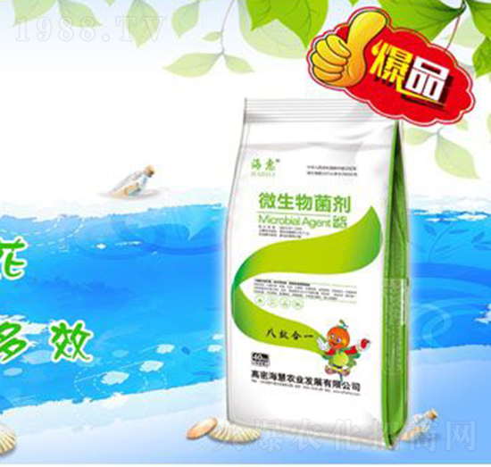 ΢�������-����