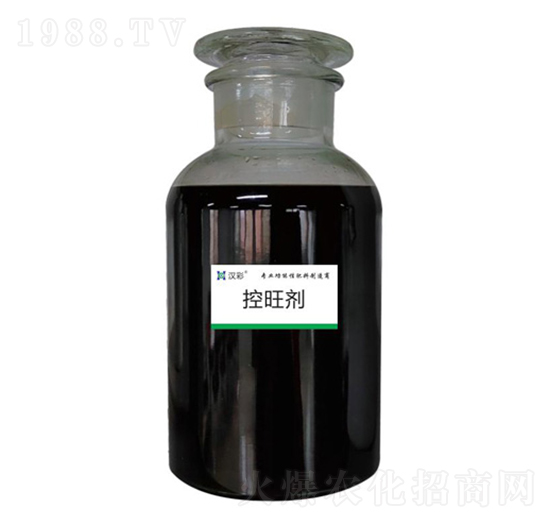 ������-�h�����B(t��i)