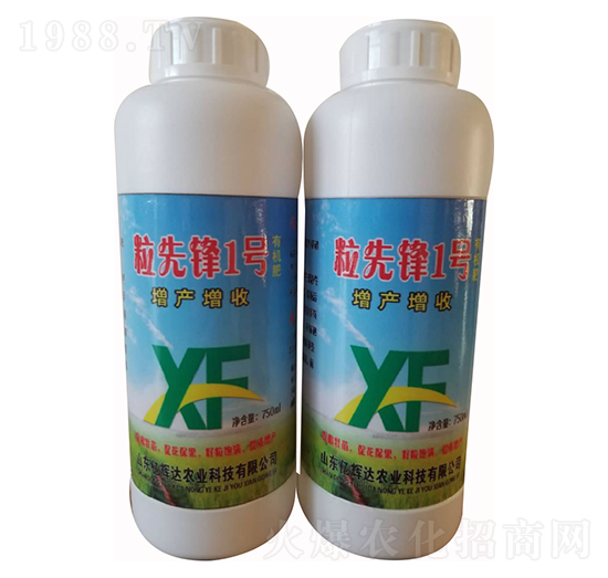 �����h1̖-�|�x�_(d��)