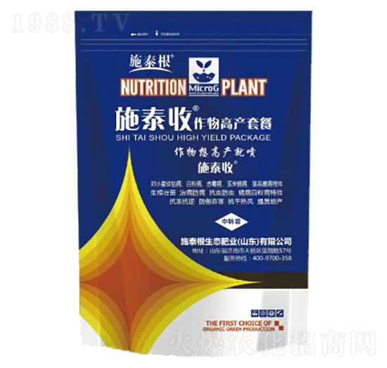 ʩ̩������߮a�ײ�-ʩ̩��