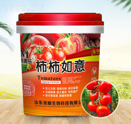 ��������-�������