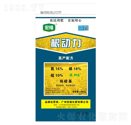 ������-�긣����