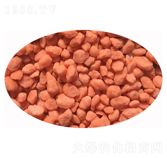 �����w������ɫ��-���M�}-�S����